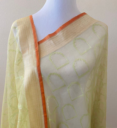 Banarasi Tissue Silk Net Saree | Tilfi weave | Light Green | Handwoven | Ships from California